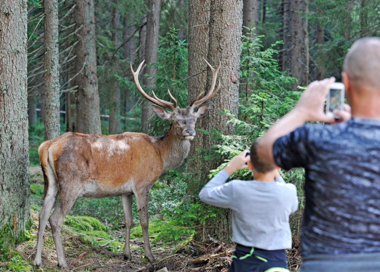 Hotel U Andela Michaela Javorná Dış mekan fotoğraf